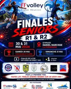 finales Ligue reunion volley ball senior championnats